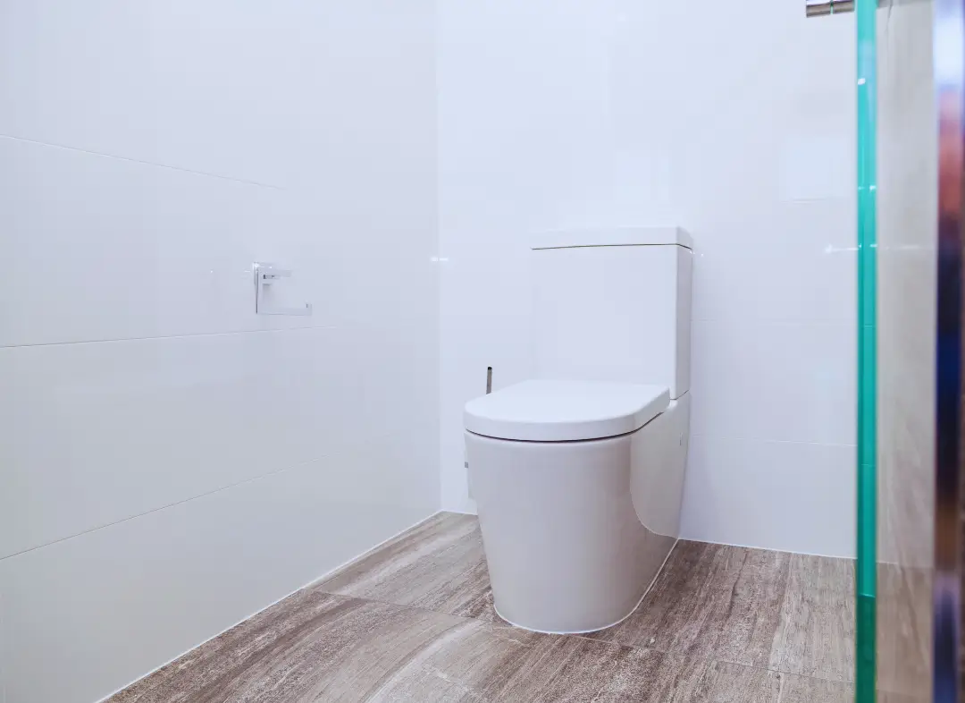 Remplacement de wc Clisson
